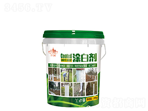 Ϳ�ׄ�-ɽ�|�������