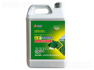 �²˽��ѿ�����-ɽ�|�������