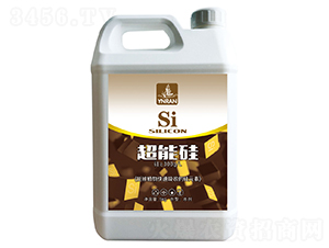 ���ܹ�-ɽ�|�������