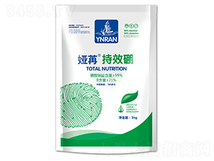 ��Ч��-�I��-ɽ�|�������