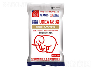 �������S��������-����ِ��