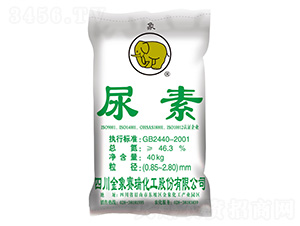 ����-����ِ��