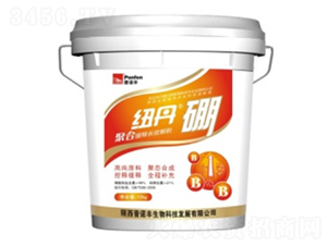 �~���𣨳ȣ�-���Z�S