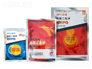 �������⛣�����-���Z�S