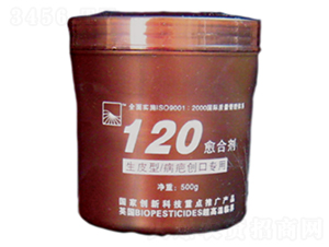 120���τ�-���Z�S