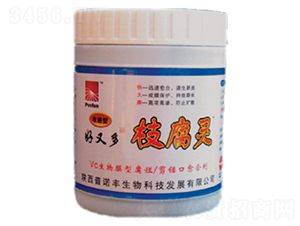 ���ֶ�֦���`-���Z�S