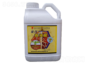 �~��ϲ���-���Z�S