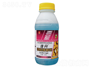 �����Ǵ��}-���Z�S