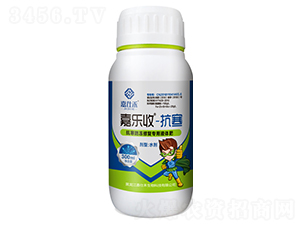 ���������ޏ�(f��)����Һ�w��-�Θ���-���˺�