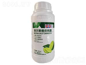 Ӣ������Ƥ��¶-Ӣ����