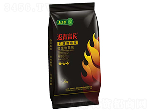 �VԴ��ֲ��΢�������-���฻��-Ӣ����