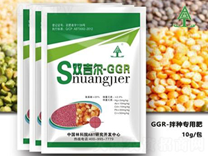 GGR��N���÷�-���ȵ�