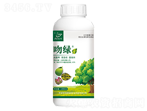 �ǾG-�ڶ���