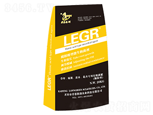 LEGR-�w�����ЙC(j��)����-�ڶ���(r��n)