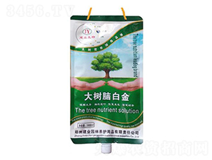 ����X�׽�-���I(y��)