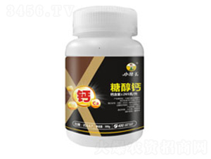 �Ǵ��}-����������