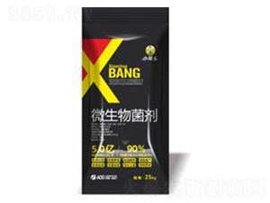 25kg΢�������-����������