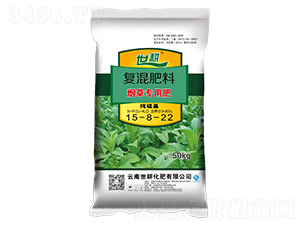 ���݌��Ï�(f��)�����15-8-22-����