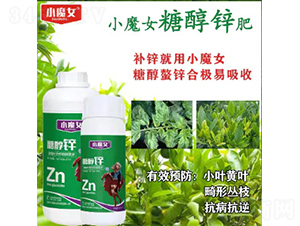 �Ǵ��\-СħŮ-���н�