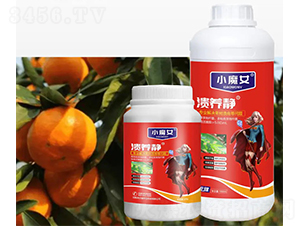 �����o-СħŮ-���н�