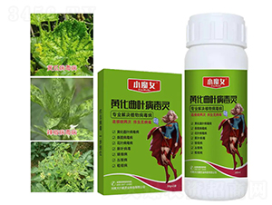 �S�����~�����`-СħŮ-���н�