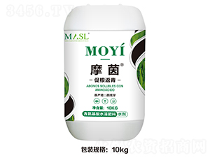 �ٸ�����-Ħ��-������