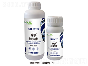 Ħ�ࡤ��-������