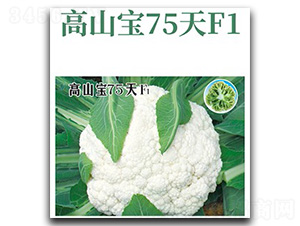 ��ɽ��75��-��Ҭ�˷N��-���d