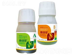 ���G��A+B-΢������