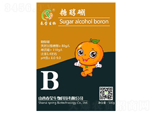 �Ǵ���-��������