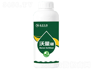 ������-��������