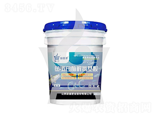 �~����ø�ⰱ����-ʩ��S-���ηʘI(y��)