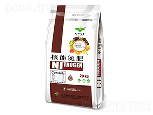 ���ܵ���-�º���