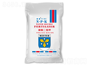 �����������-㑝�����