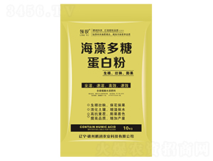 ������ǵ��׷�-�i��(r��n)�r(n��ng)�I(y��)