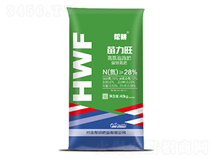 �尷����-������-�͸��ʘI(y��)