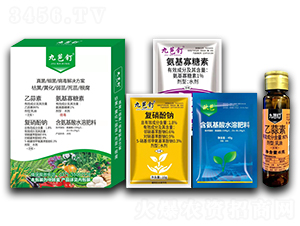 �������(x��)����������Q����-��(bi��o)���r(n��ng)��