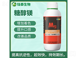 �ߝ�s�Ǵ��V-�̩����