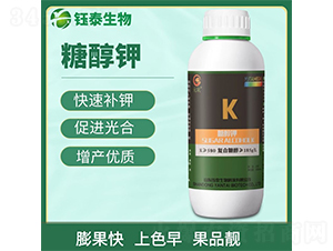 �Ǵ��-�̩����