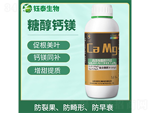 �Ǵ��}�V-�̩����