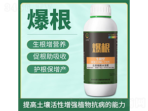 ����-�̩����