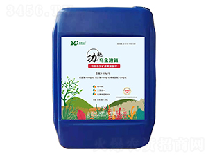 ��ʩ����Һ��-���ַʘI(y��)