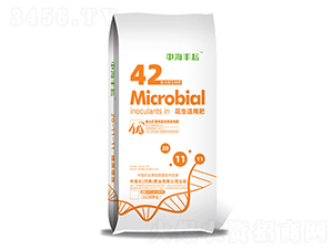 �����m�÷�-�к��S��-�к����ʘI(y��)