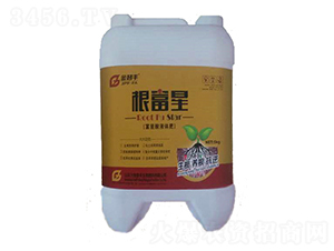 ������Һ�w��-�����S