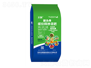 �������ü�����⛷���ѿ�;���ጓ����16-13-16-Ĥ����-�е���ʢ