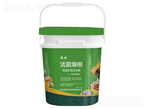 �������-�\�v�r(n��ng)�I(y��)