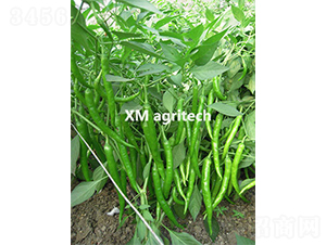 ����A5-�����N��-���r(n��ng)�r(n��ng)�I(y��)