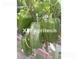 ��(m��ng)¶-�����N��-���r(n��ng)�r(n��ng)�I(y��)