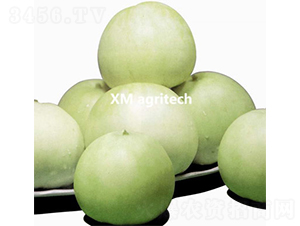 ������-��ϷN��-���r(n��ng)�r(n��ng)�I(y��)