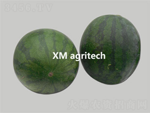 ����(j��)�o(w��)��-���ϷN��-���r(n��ng)�r(n��ng)�I(y��)